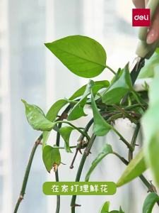 deli | Garden Pruning Shears for Flower Cutting Home Use and Florists