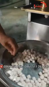 Máy tạo thịt viên tự động