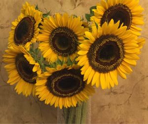 Wishout shop (ดอกไม้จริง) ดอกทานตะวันจริง ดอกทานตะวันสด จัดส่่งเป็นก้านยาวเต็ม ทานตะวันตกแต่งสถานที่ ห่อช่อดอกไม้มอบเป็นที่ระลึก จำนวน 1 ดอก