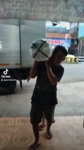 Plastik Ultra Violet UV Lebar 3 M Hidroponik Green House Merk Juara