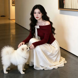 CHANGTONG | Retro Unique Set Off-Shoulder Top Half Skirt