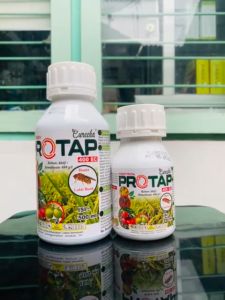 Insektisida Lalat Buah PROTAP 400EC isi kemasan 250ml 500ml dari Gadang Harmoni Agro