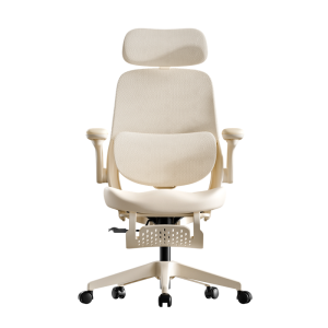 YANXUAN | Ergonomic Chair Computer Chair for Home Office Gaming