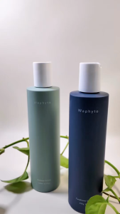 Root Renewal (Nurture)