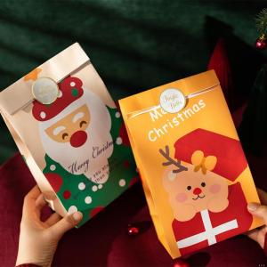 DISCO BEAR | Gift Wrapping Paper Bag for Christmas and Birthday Gifts