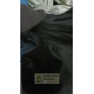 (1 kg ) Polybag Tanaman Lengkap Plastik Polibag Pot Plastik 10x10 10x15 12x12 15x15 20x20 20x25 25x25 25x30 30x30 30x35 35x35 35x40 40x40 40x45 45x45 50x50