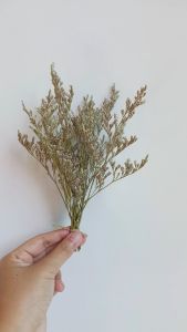 แคสเปียร์ ช่อเล็ก 5 กรัม ดอกไม้แห้ง ดอกไม้ DIY ตกแต่ง พร้อพถ่ายรูป จัดแจกัน ของแต่งบ้าน