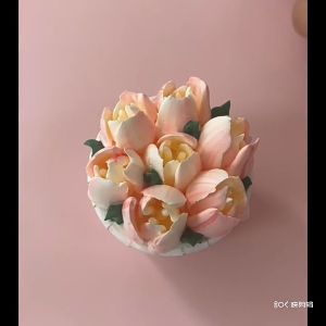 27-piece Russian piping tip set fondant cream chocolate cake piping tool one-piece molding for piping