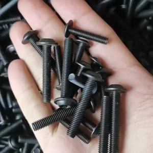 304 Torx Screw M4 M5 M6 M8 Stainless Steel Black Colour torx Washer Head Screw for Motorcycle Scooter ATV Moped Plastic Cover