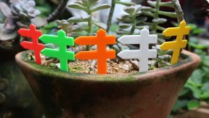 50 thẻ rào nhựa trụ cắm trang trí ghi tên nhựa dẻo bền size R4.6xC7xB1cm