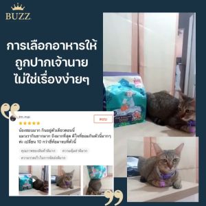 🌼แบ่งขาย🌼Buzz Netura อาหารแมว (ครบทุกสูตร) ปราศจากการเติมเกลือ ควบคุมโซเดียม และ ไม่มีส่วนผสมของธัญพืช Netura Cat Food - Lazada