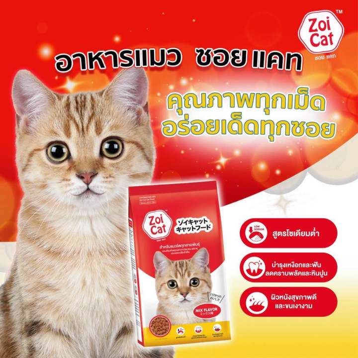 รีวิวเจาะลึก Zoi Cat อาหารแมวชนิดเม็ด: คุ้มค่าไหมสำหรับสุขภาพเหงือกและฟันของเจ้าเหมียว?