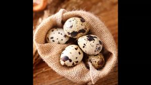 湖南湖湘贡鹌鹑蛋铁蛋卤蛋味/香辣味/小北泡椒真空即食休闲零食无防腐剂健康美味