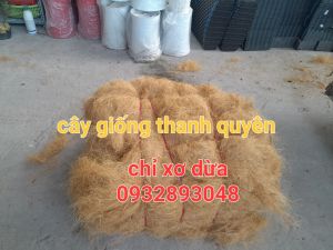 combo 5kgxơ dừa sợi loại 1 sạch xơ dừa chỉ giữ ẩmtrồng lanphủ gốc cây