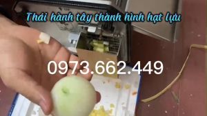 Máy thái củ dền măng cà rốt hành tây HẠT LỰU nhanh đều tăm tắp 4 cỡ dao
