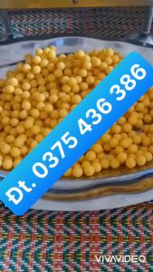 Máy vo viên trân châu bánh nhãn bánh bi chạy điện 6/8/10/12mm dz20