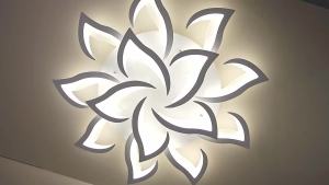 Indoor LED Ceiling chandelier Glossy Eye Protection Acrylic Lotus Modern Ceiling Light Smart Decoration Home Living Room Lamp