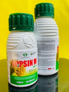 Fungisida TOPSIN 500 SC dari PETROKIMIA KAYAKU MANTAB