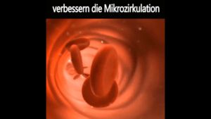 2pcs Therapy Knee Guard Self Heating Herbal Knee Support Pad Knee Joint Pain Relief Massage Sarung Berhaba Sakit Lutut