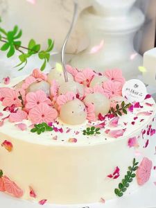 Birthday Cake Decorations Stars And Hearts Chocolate Sandwich Biscuit Powder Oreo Laurence Butterfly Cookies Cup Coxeer