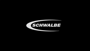 Schwalbe Pro One 700x28C Tubeless Easy Tire For Road Bike Trye – Lightweight & High Performance