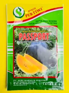 Benih semangka kuning hibrida F1 PASPORT dari PERTIWI. Isi 20gram joss tenan!!!