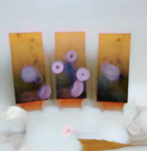 APOLITO (15X30 CM)HIASAN DINDING BURUNG WALL DECOR HIASAN DINDING BURUNG PAJANGAN KAYU GAMBAR BURUNG