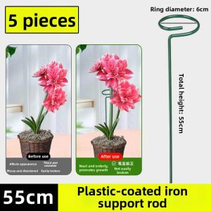 Loolecondera | Plant Support Stand Anti-toppling