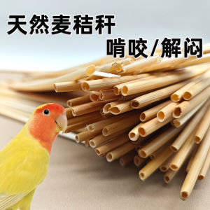 Natural Wheat Straw Parrot Chewing Toy Dental Care Claw Grinding Training Feeding Aid Tail Feather Nest Building Bird Toy