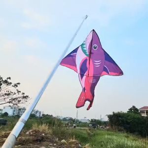 Diều Cá Mập Baby Shark