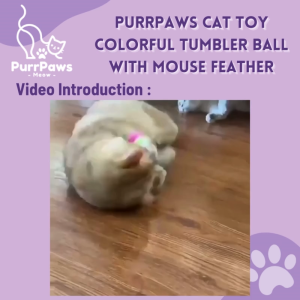PurrPaws Cat Toy Colorful Tumbler Ball with Mouse Feather Mainan Kucing