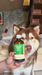 Free 3cc Syringe 60ml 120ml Livotine Dog Cat All Stages Adult Kitten Puppy Liver Pet Supplement