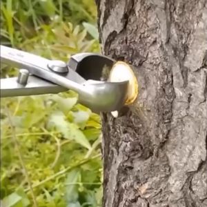 Baja Paduan Catok Bonsai Cembung 21 cm: Alat Tatah Tanaman Bonsai Berkualitas