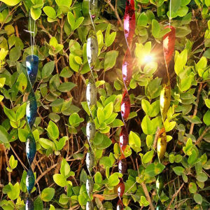 Bird Driving Stick: A Reflective Garden Bird Repelling Tool