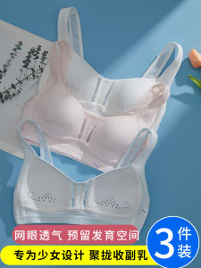 Girls Sports Bra Thin Cotton Nylon Fabric Fixed Strap Full Cup Vest Style Underwear for Junior And High School Students