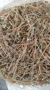 100g cây  cỏ sữa lá lớn sấy khô hữu cơ