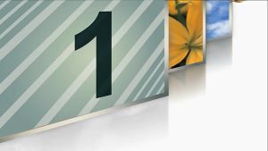 【SG】100Pcs/Set Waterproof Disposable Events Wristbands Paper Wrist Hand Sticker Swimming Label Paper Concert Hand Label