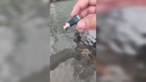 Glink แจ็ค Dc BNC ตัวผู้ MALE JACK (ตัวผู้) 12V แจ็ค แบบขันน๊อต cctvfor บาลัน BALUN UTP Cat5e สำหรับกล้องวงจรปิด 32 ชิ้น รับสมัครดีลเลอร์ทั่วประเทศมีทีมซัพพอร์ทและบริการหลังการขายค่ะ