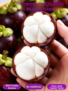 Imported Thai & Vietnamese Premium Additive Free NFC Mangosteen Juice
