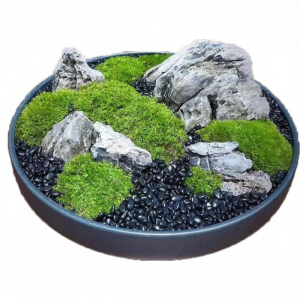 High Quality Landscape Rock 1 Pound