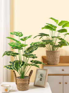 Miniature Nordic Style Artificial Green Plant Decorative Ornament Simulated Bonsai in Pot Trendy Home Decoration Accessory