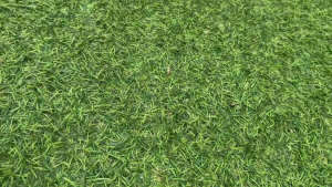 ยางรองล้างบาตร 2 อัน