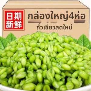 Special Fresh Wheat Grain for Porridge