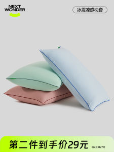 Nextwonder Breathable Skin-friendly Jelly Pillowcase Cool Sensation Home Use Single Person Pillow Cover Polyester Nylon Spandex