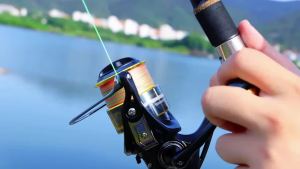 Sougayilang | Máy Câu Cá Sougayilang Spinning 5.2:1 Tỷ Lệ Truyền Động CNC Ống Cuộn Bằng Nhôm Thân Kim Loại Cho Nước Ngọt Và Nước Mặn Kéo Tối Đa 15kg