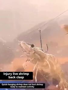 5pcs-10pcs /box Hanging Live Shrimp Back Hook Shrimp Back Hook with Spring Hanging Shrimp Fish Hook Live Shrimp Fixed Hook