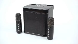 YS-203 Portable Karaoke Machine: The Ultimate Outdoor Singing KTV Set
