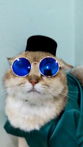 Songkok Kucing Jantan Raya 2026 -Free Size Songkok Kucing Hitam Baju Melayu Raya Kucing Cat Songkok Costume Raya