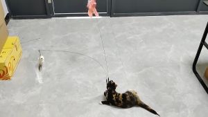 Mainan Kucing Double Fun Cat Teaser Toy Bird & Feather 2 Teaser in 1 Base Mosaic Window Cat Stick