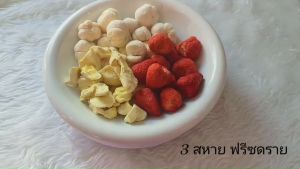 3สหาย ฟรีซดราย (ทุเรียน มังคุด สตรอว์เบอร์รี่) Freeze Dried กรอบ อร่อย
